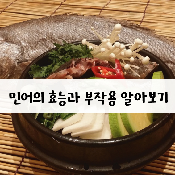 민어 효능과 부작용!