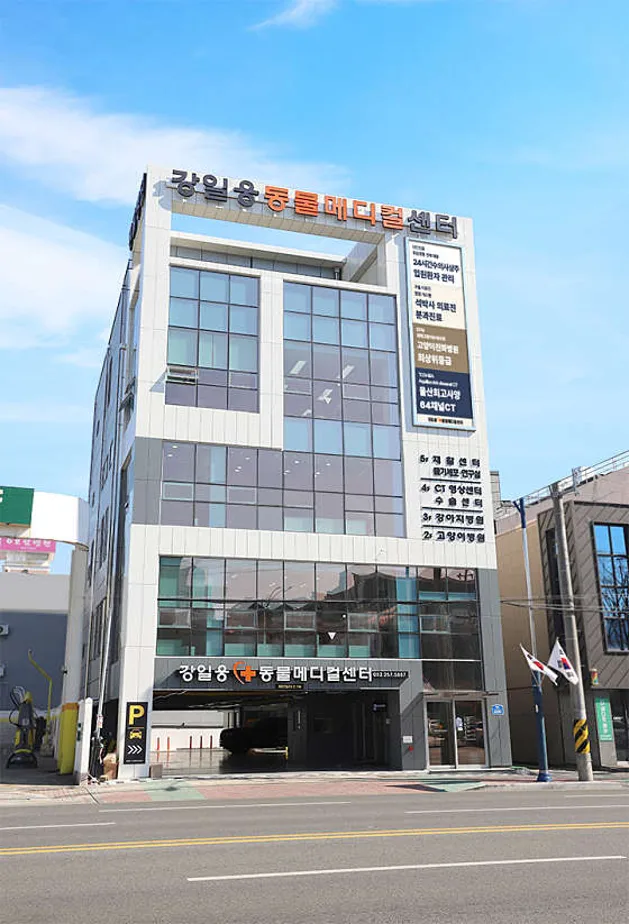 울산 강일웅동물메디컬센터