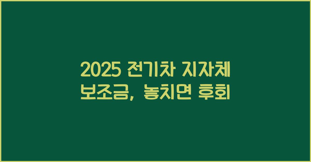 2025 전기차 지자체 보조금