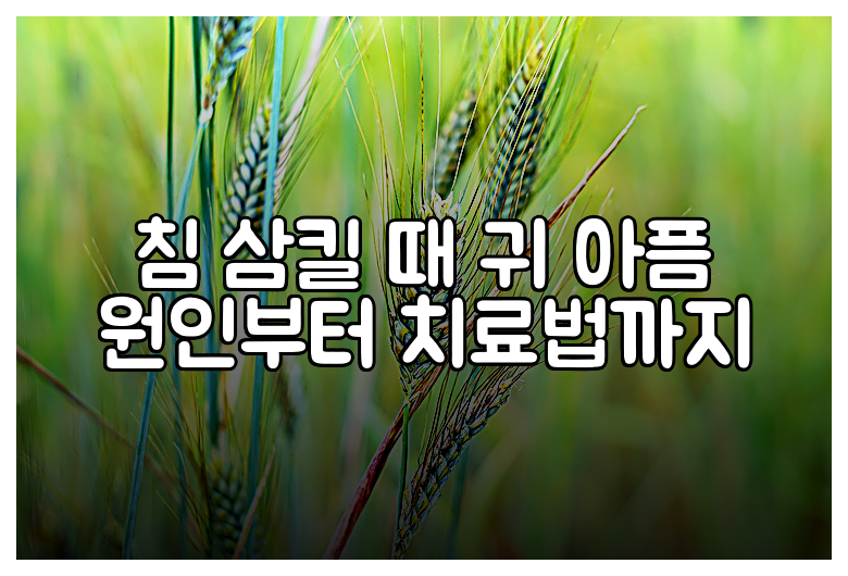 침 삼킬 때 귀 아픔 원인부터 치료법까지