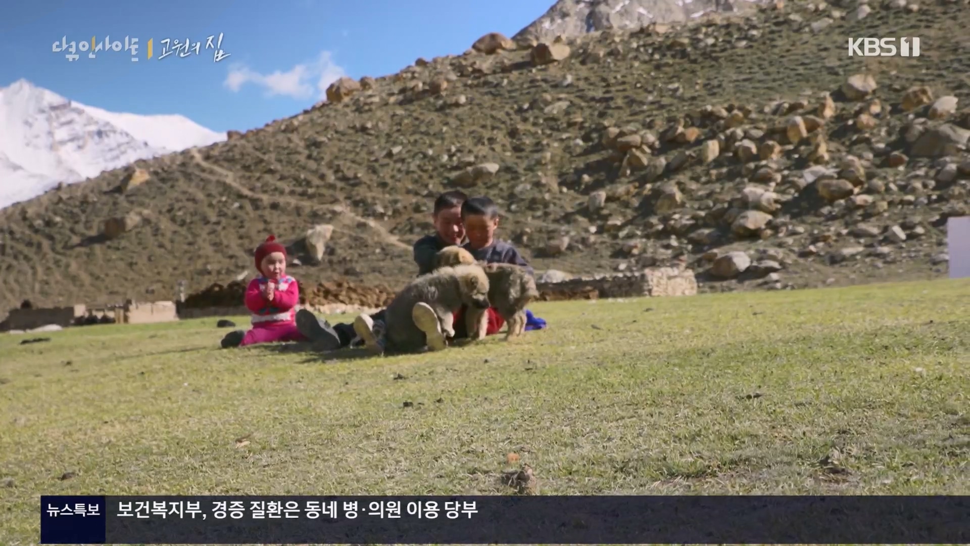 다큐 인사이트.E176.240328p.H264-F1RST.mp4_20240330_162544.251.jpg