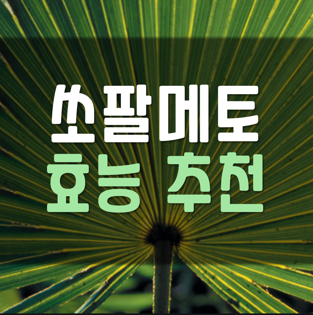  쏘팔메토의 효능 추천
