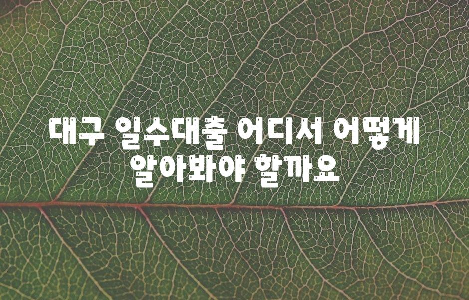 대구 일수대출 어디서 어떻게 알아봐야 할까요