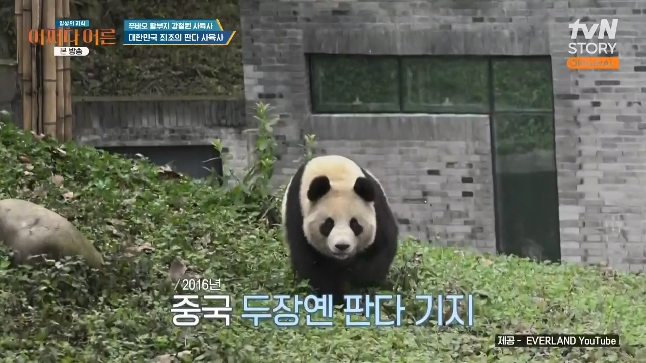어쩌다 어른.E41.240131p-NEXT.mp4_20240201_203137.807.jpg