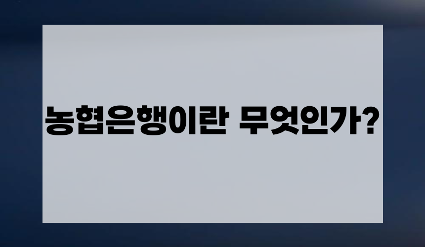 농협은행이란 무엇인가?