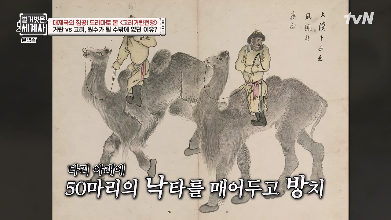 벌거벗은 세계사.E135.240124p-NEXT.mp4_20240717_211452.657.jpg