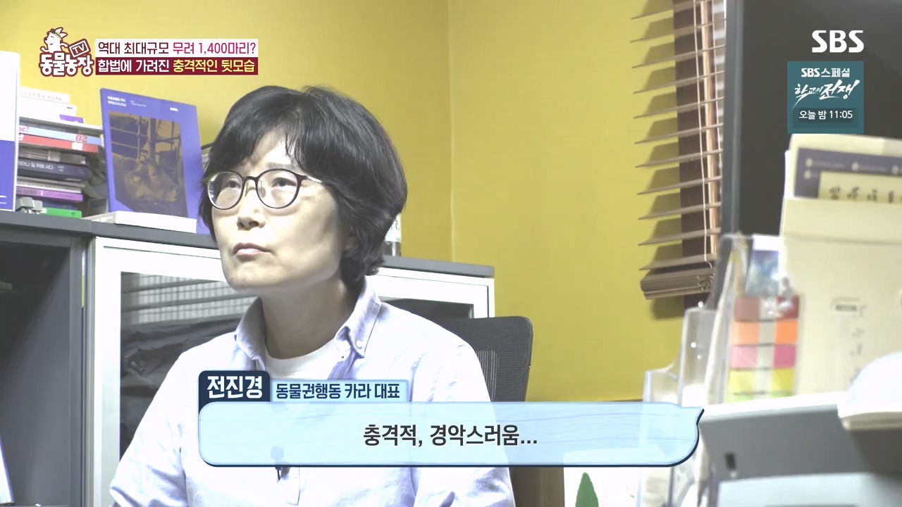TV 동물농장.E1142.231023p-NEXT.mp4_20231022_171942.558.jpg