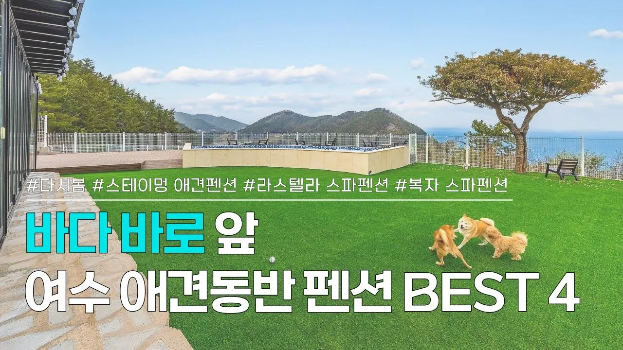 전국 애견동반 펜션 추천 목록 10곳 반려견 동행 휴식 여행_2
