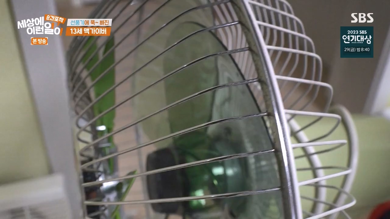 순간포착 세상에 이런일이.E1256.231217p-NEXT.mp4_20231217_175004.289.jpg