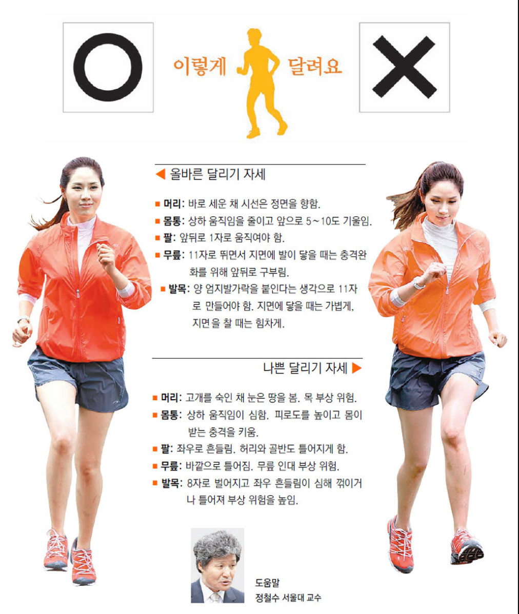 달리기 효과