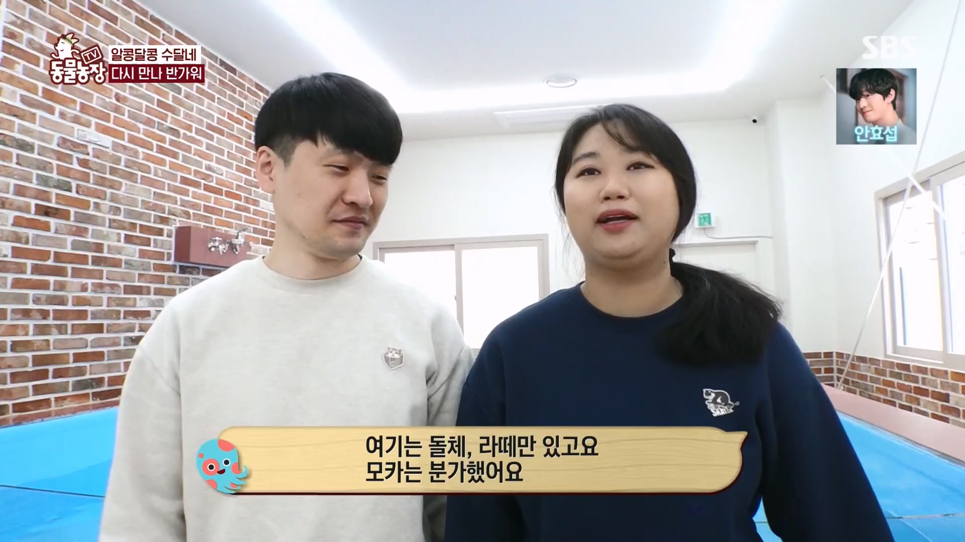 TV 동물농장.E1118.230423p.H264-F1RST.mp4_20230423_181118.132.jpg