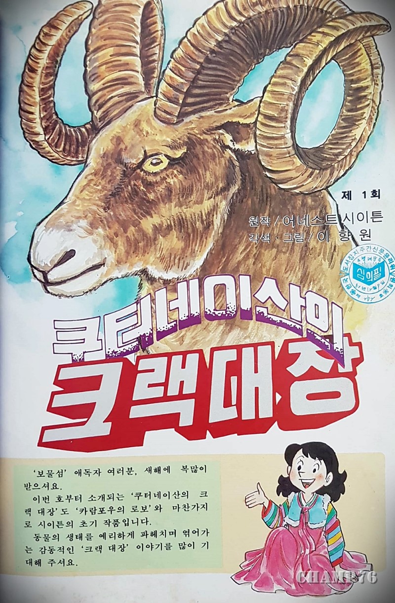 이리 이미지