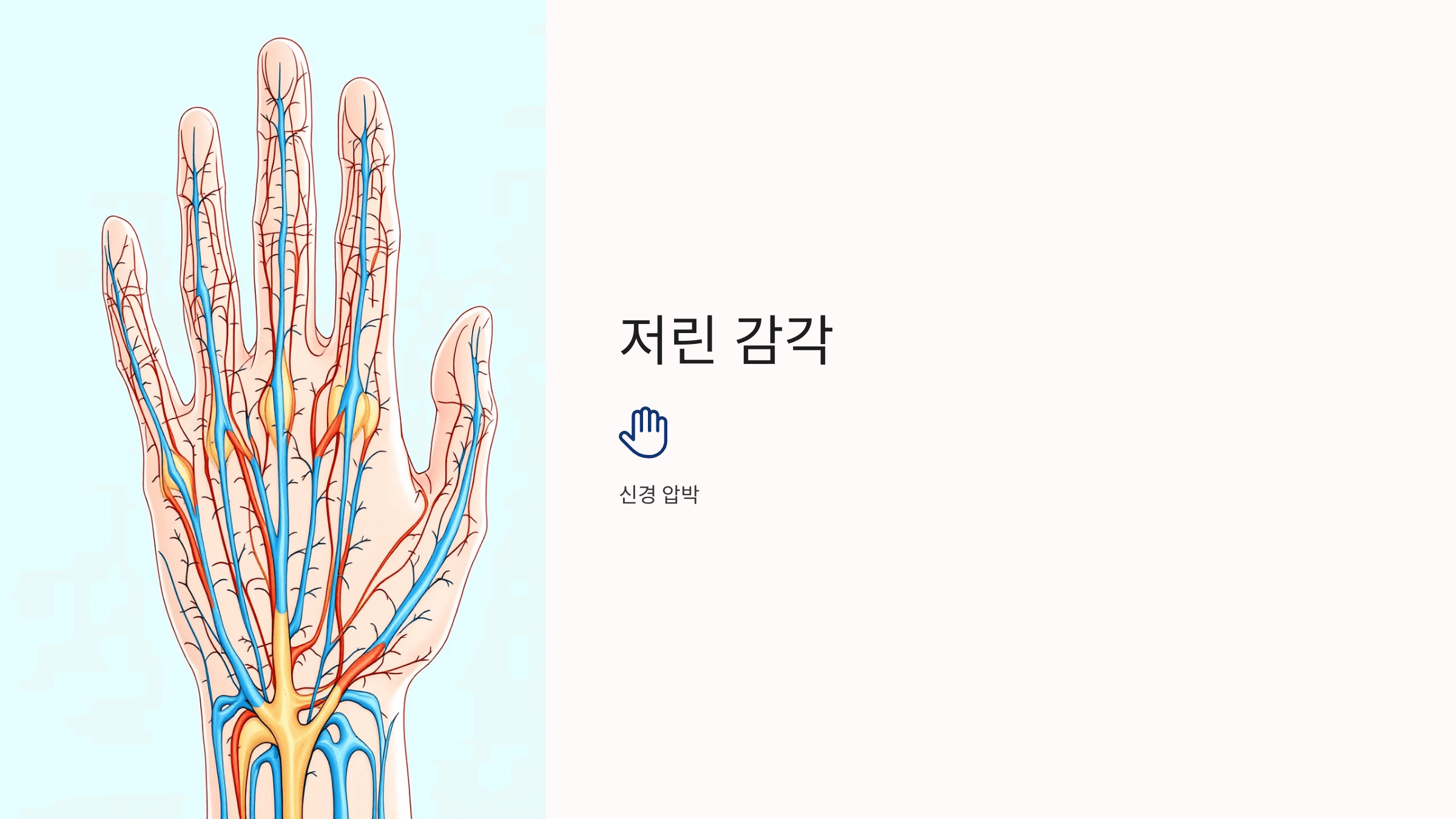 퇴행성 관절염과 관련된 사진입니다.