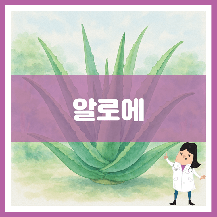 알로에