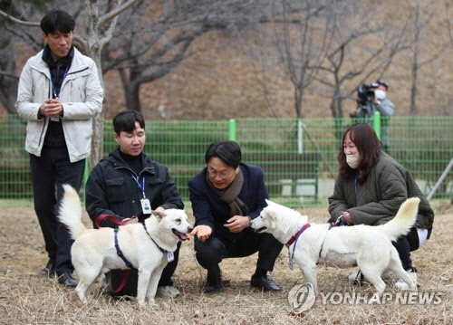  풍산개 '곰이', '송강' 광주 우치동물원으로