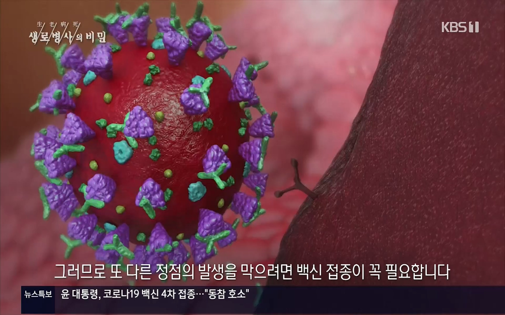 생로병사의 비밀.E826.220713p.H264-F1RST.mp4_20220714_183111.968.jpg