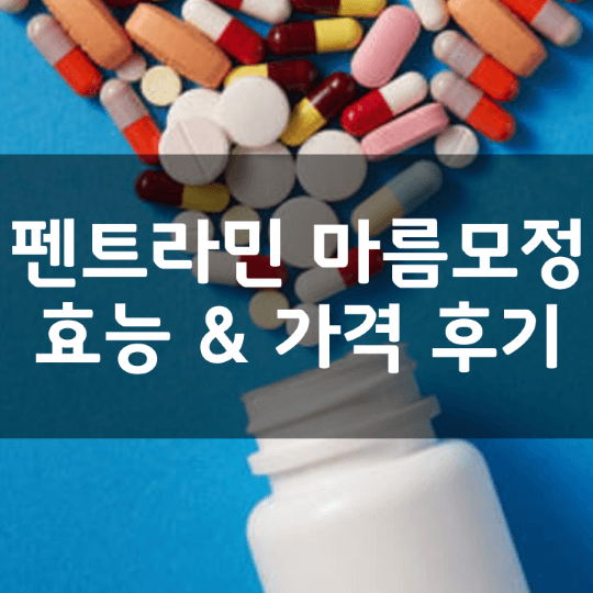 펜트라민-마름모정-뜻-성분-효능-부작용-복용법-가격-내돈내산-후기-정리