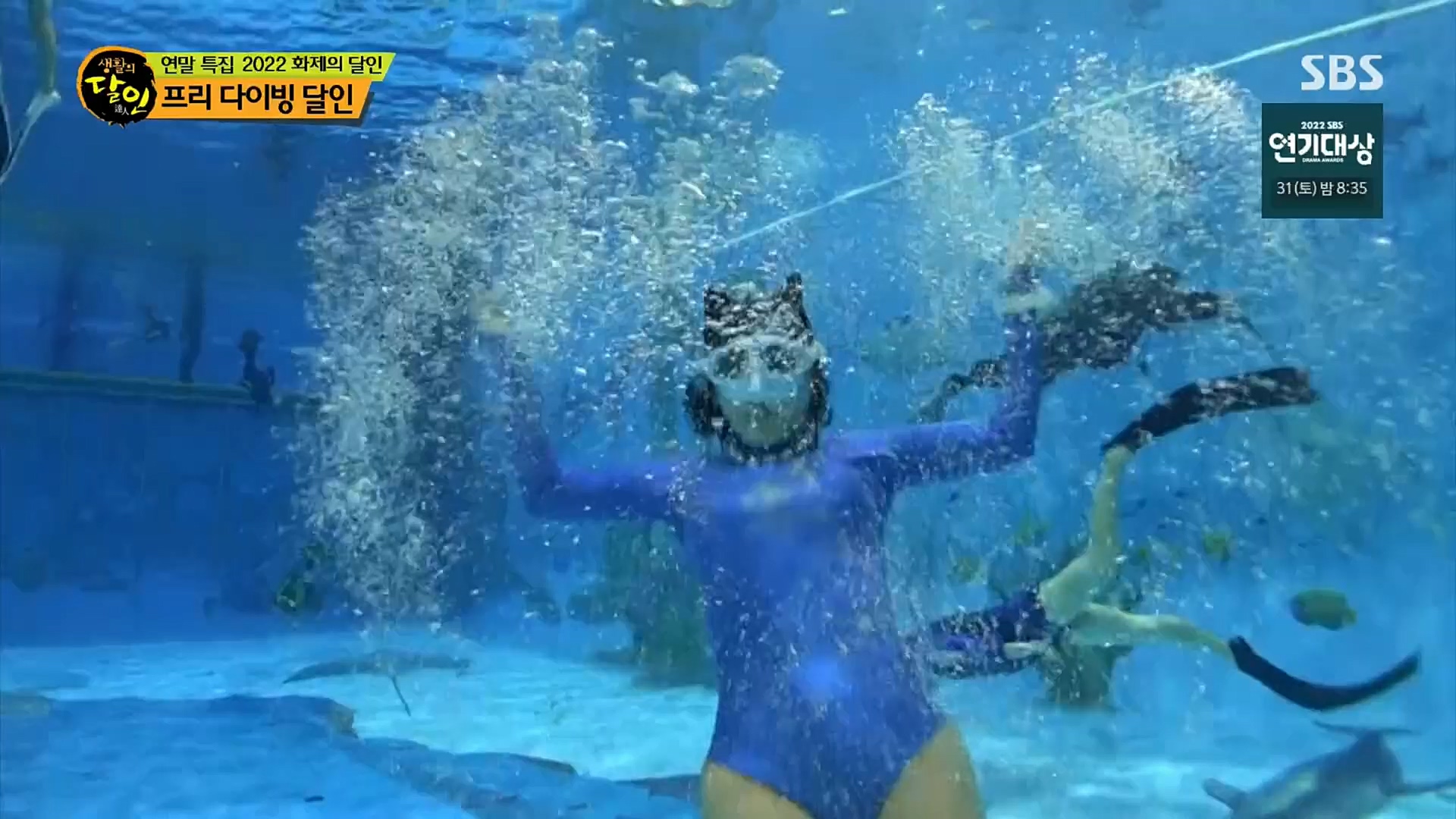 생활의 달인.E870.221226p.H264-F1RST.mp4_20221228_192119.370.jpg