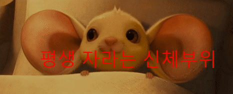  [정말?] 평생 자라는 신체부위