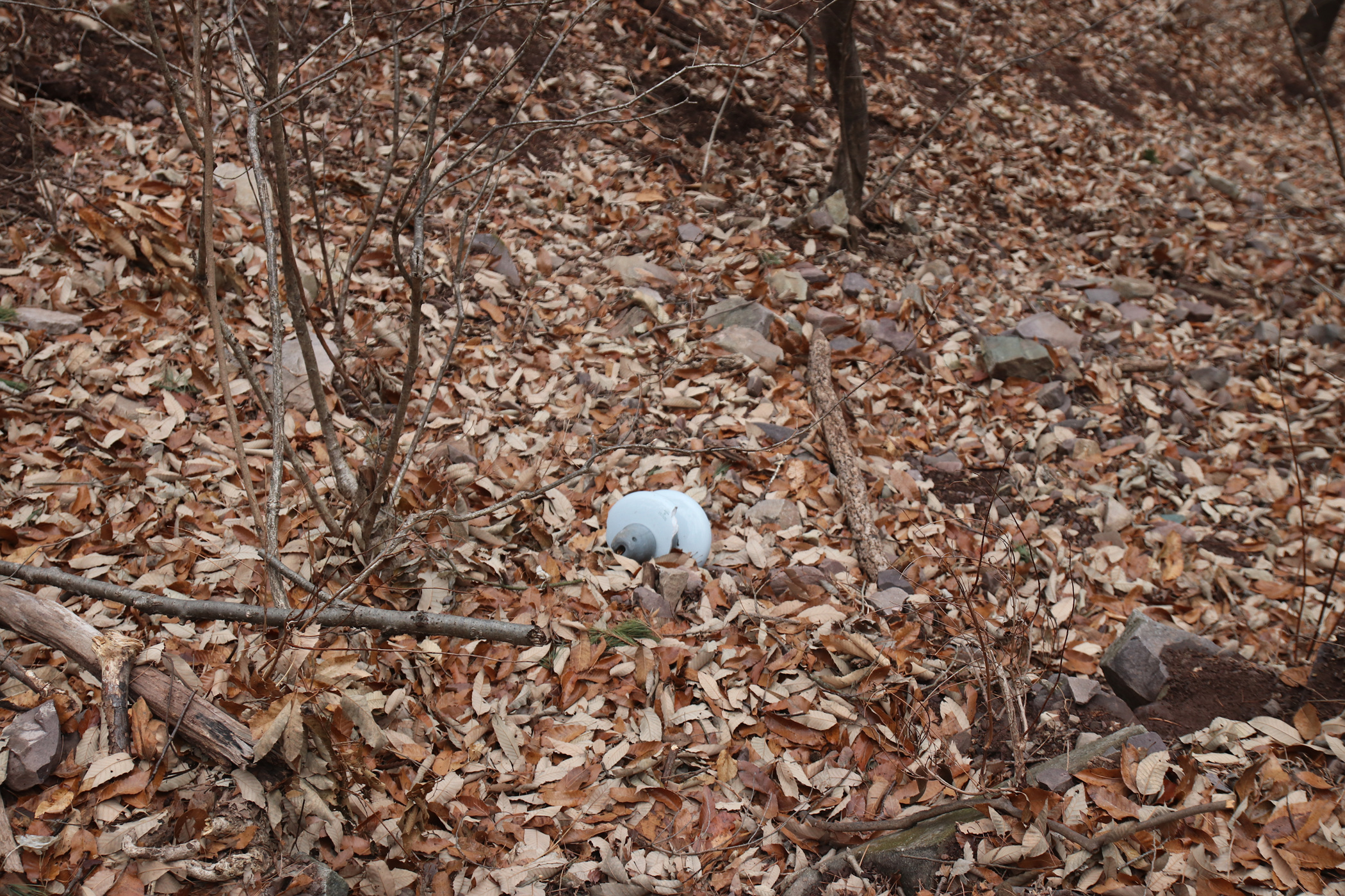 경남 의령군 국사봉 05 57