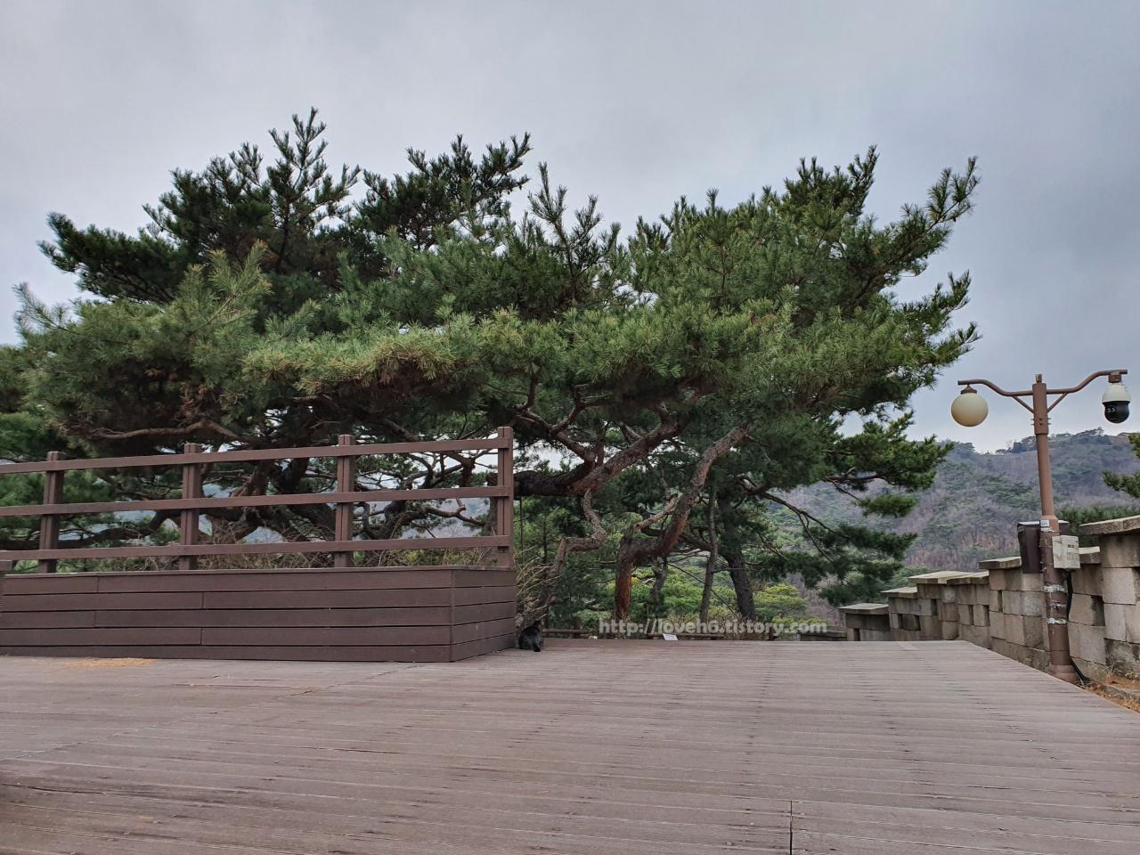 북악산_北岳山_Bukaksan/가는곳곳마다 아름다운 자연을
만날수가 있었습니다
북악산은 등산을 아주아주 오랜만에
하는 저에게도 어렵지 않은 등산로였습니다
길이 잘되어 있어서 부담스럽지 않게
등산할수 있었어요