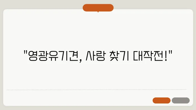 영광 유기견 보호소의 입양 프로그램 세부사항