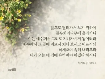 권위 전쟁 누가복음 20장 큐티 매일성경_9