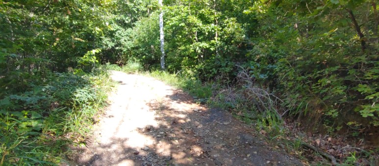 제진검문소 - 통일전망대 출입신고소 해파랑길 50코스 : 2