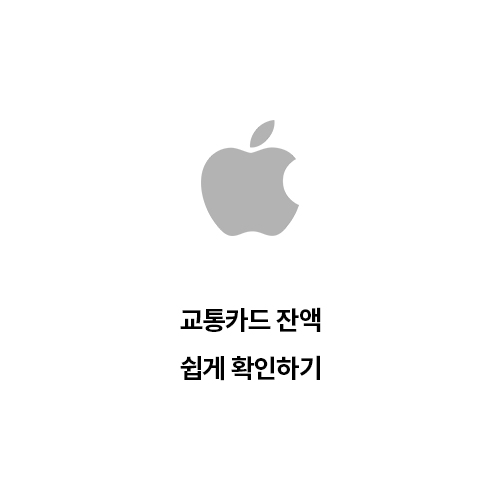  아이폰에서 교통카드 잔액 쉽게 확인하기