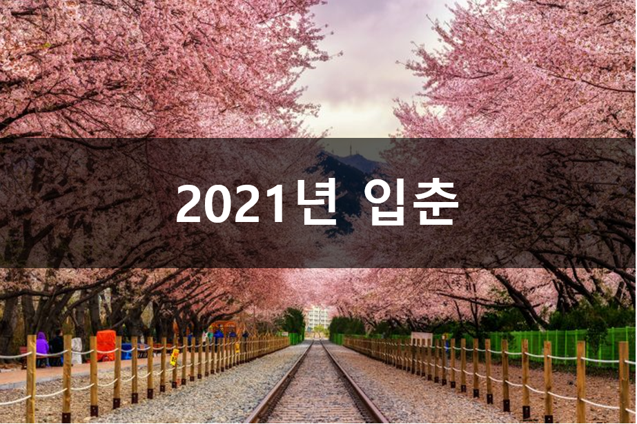  2021년 입춘에 대해서 알아보자 입춘시간은 언제?