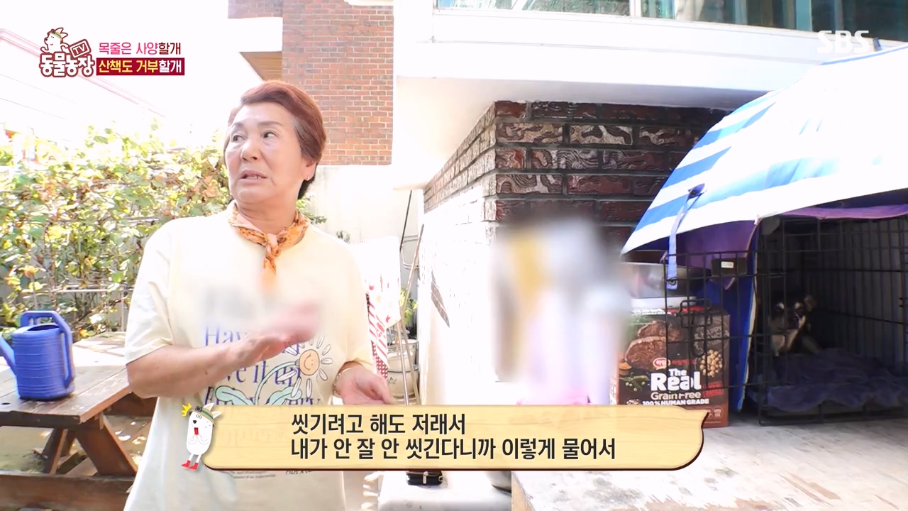 TV 동물농장.E1144.231106p-NEXT.mp4_20231105_175936.901.jpg