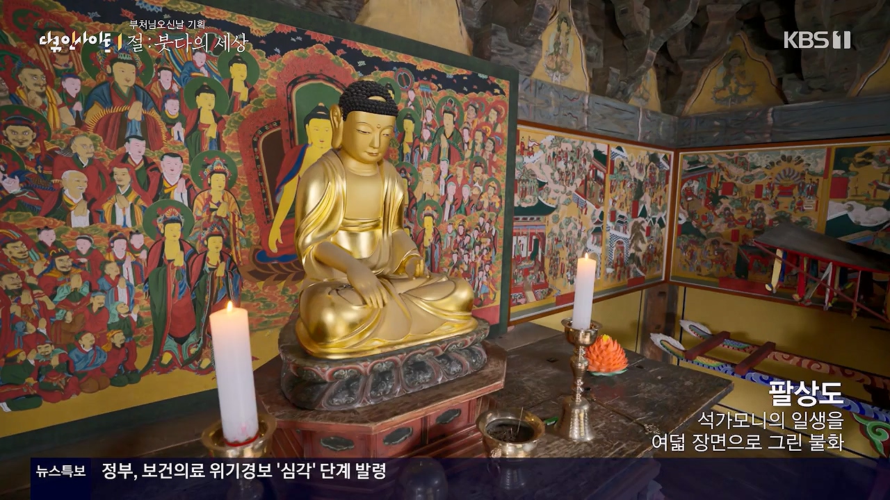 다큐 인사이트.E185.240517p-NEXT.mp4_20240517_202639.491.jpg