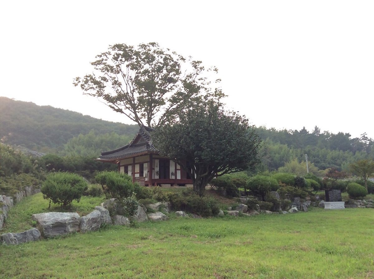  나주 송죽리 금사정 동백나무&먹거리