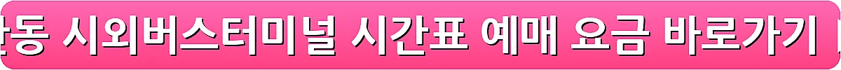 안동 시외버스터미널 시간표 예매 요금_16