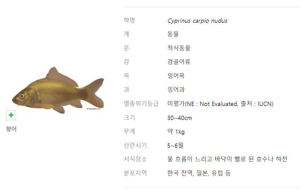 Bucheonhoesikdang (부천회식당) 1