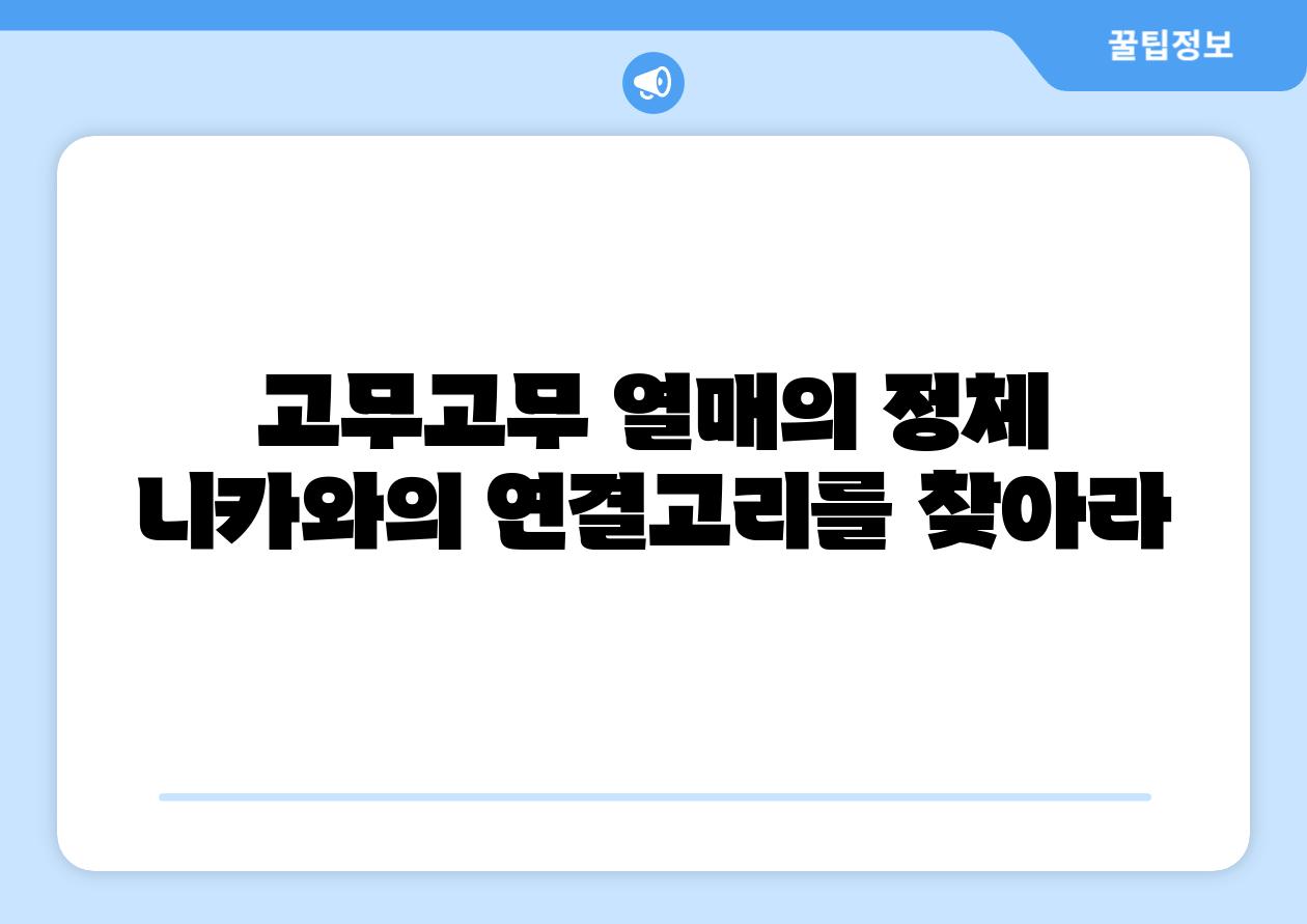 고무고무 열매의 정체 니카와의 연결고리를 찾아라