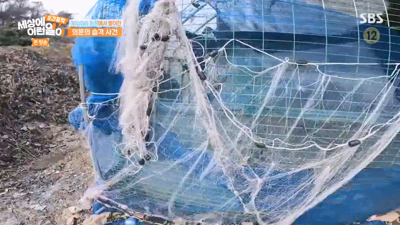 순간포착 세상에 이런일이.E1257.231224p-NEXT.mp4_20231224_180234.960.jpg
