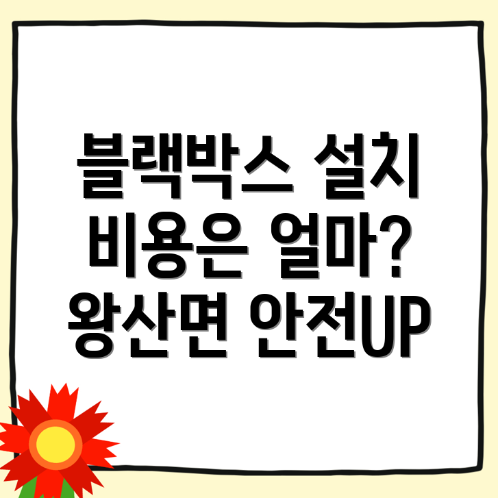 블랙박스 설치 비용