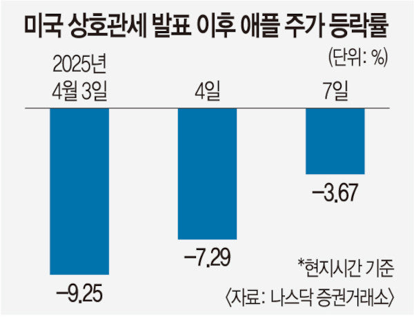 미국 관세후 애플주가 하락