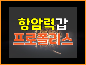  항암력 뛰어난 프로폴리스의 효능과 부작용, 정말 만병통치약일까?