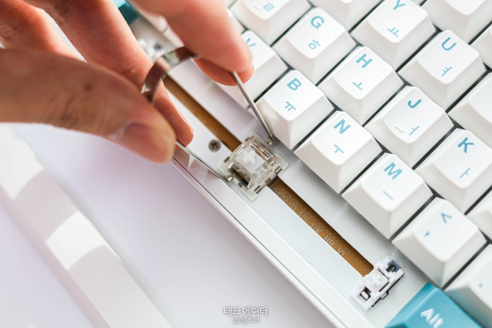 CK01 PBT SL 내돈내산 후기 가성비 저소음 키보드, 콕스 15