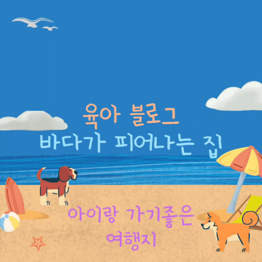 바다네칼국수 이미지