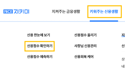 신용등급점수무료조회하기신용점수등급올리는방법