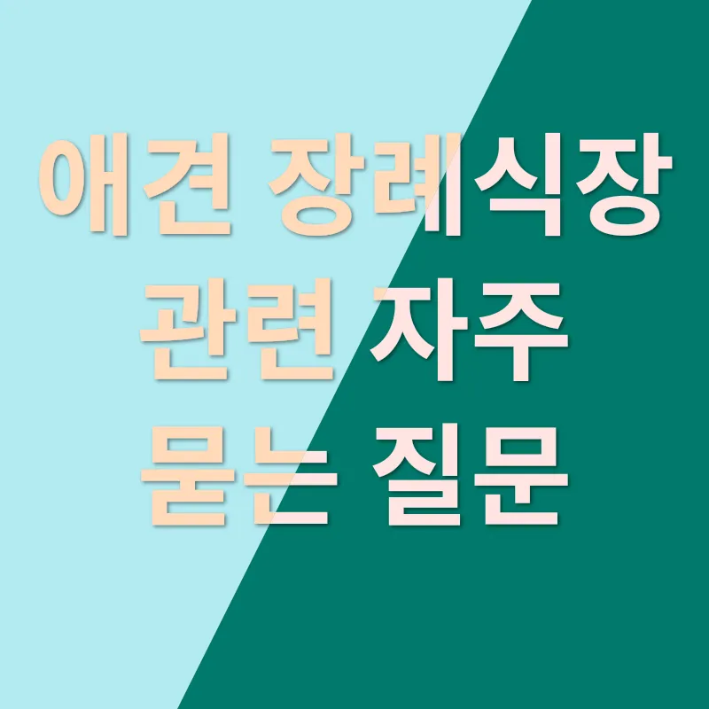 애견 장례식장 소개_4