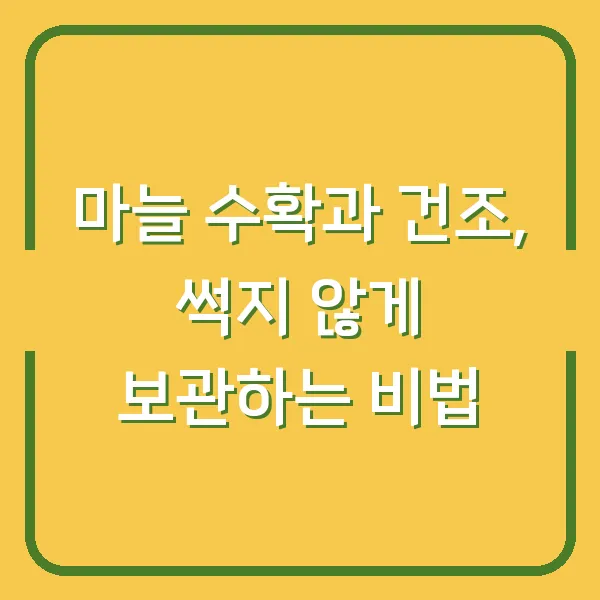 마늘 수확과 건조, 썩지 않게 보관하는 비법