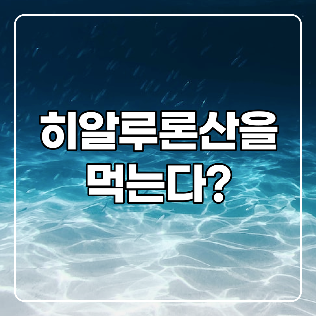  먹는 히알루론산 효과가 어떨까? 먹어도 노화방지 가능?