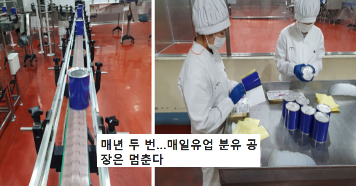  분유회사가 적자가 나는데도 매년 두 번씩 공장을 멈추는 이유