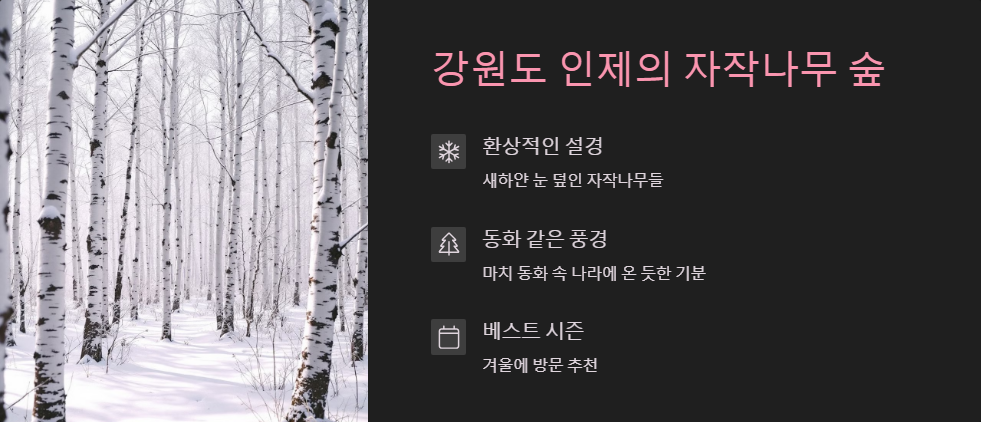 강원도 인제 자작나무 숲&lt;span class=&quot;footnote-wrapper&quot;&gt;[25]&lt;/span&gt;