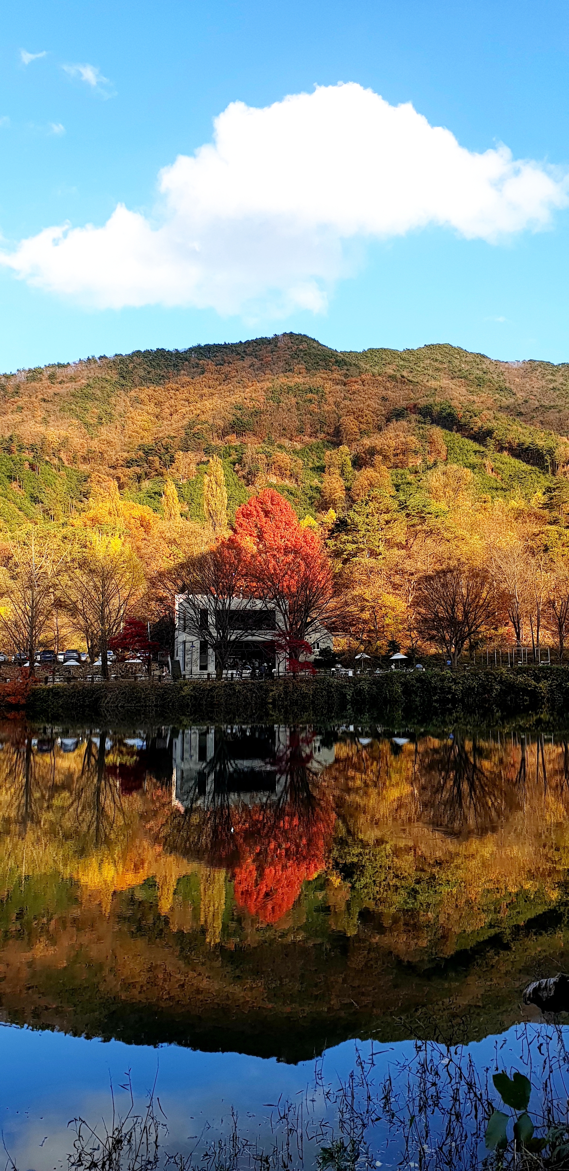  공주 송곡저수지 엔학고레카페 아름다운 가을날 풍경
