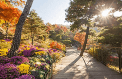 화담숲 단풍 축제